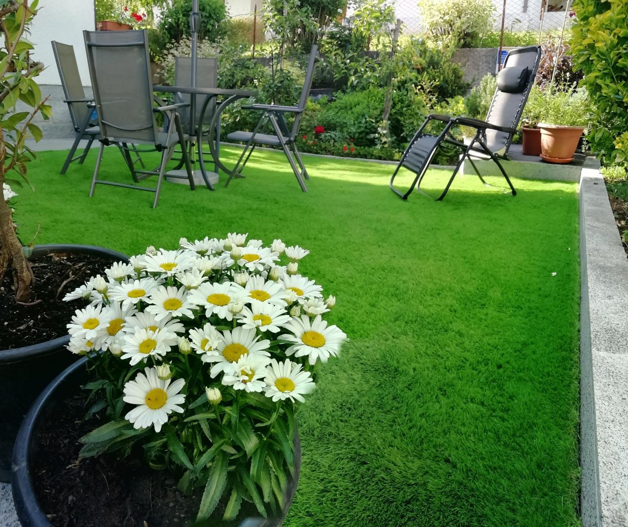 Appartamento Con Giardino Carisolo Exterior foto